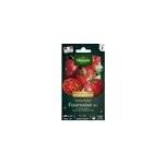 Tomate ronde fournaise hf1 en graines vilmorin Tomate ronde fournaise hf1 en graines vilmorin
