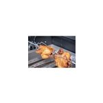 Tourne - broche avec moteur 230v campingaz Tourne - broche avec moteur 230v campingaz