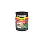 Traitement bois multi - usages intrieur et extrieur xylophne 5l