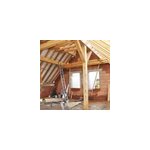 Traitement poutres & charpentes 1l xyloph�ne