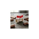 Vanne �crou tournant m 15 / 21 f 20 / 27 diall