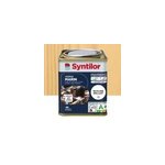 Vernis marin bois incolore brillant 0, 25l syntilor