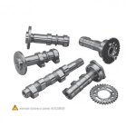Arbre � cames ech hot cams lt - r450 '06 - 07