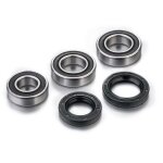 Kit roulements de roues arri�re factory links 1091047