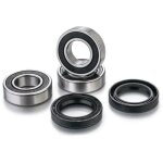 Kit roulements de roues arri�re factory links 1091054