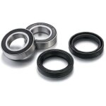 Kit roulements de roues avant factory links 1090933