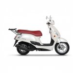 Support top case shad top master kymco filly 125