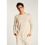 Pull cachemire col roulott - ernesto