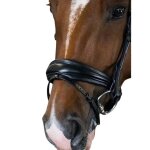 Bridon �quitation ps of sweden gp