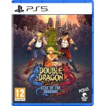 Double dragon gaiden : rise of the dragons ps5