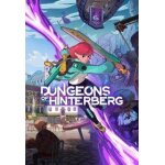 Dungeons of hinterberg - steam - jeu en t�l�chargement - ordinateur pc