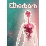 Etherborn - steam - jeu en téléchargement Etherborn - steam - jeu en téléchargement