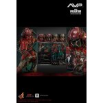 Figurine hot toys ac06 - alien vs. predator - akaoni samurai predator