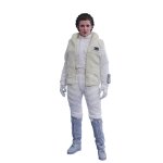 Figurine hot toys mms423 - star wars 5 : the empire strikes back - princess leia