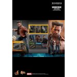 Figurine hot toys mms660d - marvel comics - x - men : days of the future past - wolverine 1973 suit deluxe ... Figurine hot toys mms660d - marvel comics - x - men : days of the future past - wolverine 1973 suit deluxe ...