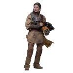 Figurine hot toys mms854 - star wars : return of the jedi - leia organa boushh disguise