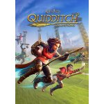 Harry potter: quidditch champions pc