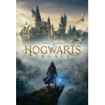 Hogwarts legacy : lhéritage de poudlard - steam - jeu en téléchargement Hogwarts legacy : lhéritage de poudlard - steam - jeu en téléchargement