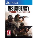 Insurgency sandstorm ps4