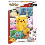 Nathan puzzle 250 p - types de pok�mon