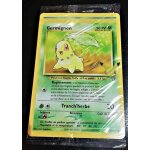 Pokemon jumbo set 3 starters 2éme generation promo king jouet 25éme anniversaire Pokemon jumbo set 3 starters 2éme generation promo king jouet 25éme anniversaire
