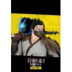 Ronin: two souls chapter 1 - steam - jeu en téléchargement - ordinateur pc Ronin: two souls chapter 1 - steam - jeu en téléchargement - ordinateur pc
