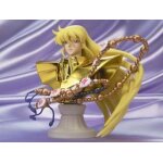 Saint cloth myth - appendix virgo shaka