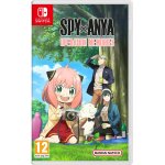 Spyxanya : operation memories switch