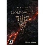 The elder scrolls online - morrowind (extension / dlc) - jeu en téléchargement - ordinateur pc - mac The elder scrolls online - morrowind (extension / dlc) - jeu en téléchargement - ordinateur pc - mac