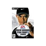 Tiger woods 2005