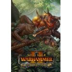 Total war warhammer ii - the silence & the fury (extension / dlc) - steam - jeu en t�l�chargement - ordinateur ...