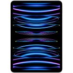 Apple ipad pro apple m 256 go 11  8 go wi - fi 6e (802. 11ax) ipados 16 argent