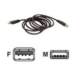 Belkin usb extension cable - rallonge de cble usb - usb (m) pour usb (f) - usb 2. 0 - 3 m - moul