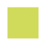 Clairefontaine pollen - papier - vert bourgeon - 135 x 135 mm - 210 g / m - 25 carte(s) cartes � fibres ...