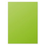 Clairefontaine pollen - vert intense - a4 (210 x 297 mm) - 210 g / m - 25 feuille(s) papier color�