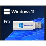 Clé usb bootable d'installation windows 11 - pc avec tpm2. 0 (pc récents) + guide d installation Clé usb bootable d'installation windows 11 - pc avec tpm2. 0 (pc récents) + guide d installation