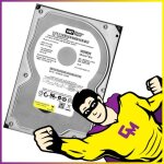 Disque dur 250go 3. 5  western digital wd2500ys sata ii 3 gb / s hdd 7200 rpm