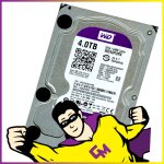 Disque dur 4to 3. 5  western digital wd40purx sata iii 6 gbps hdd 5400tr / min