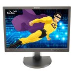 Ecran pc pro 22  lenovo thinkvision l2251pwd 45j8743 lcd vga displayport 16:10