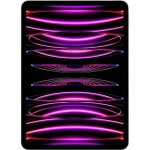 Tablette apple ipad pro m2 (2022) 12. 9' wi - fi + cellular 256 go gris sid�ral