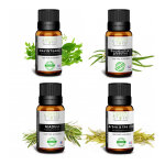 Lots 4 huiles essentielles arbre à thé, niaouli, eucalyptus globulus, ravintsara 10ml Lots 4 huiles essentielles arbre à thé, niaouli, eucalyptus globulus, ravintsara 10ml