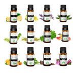 Lot huiles essentielles  ; les indispensables ; 12 x 10ml