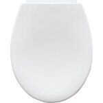 Abattant wc blanc slow down carrefour - l'abattant