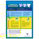 Activateur blanc vanish - le diffuseur de 10 sachets