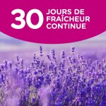 Adoucissant lavande soupline - l' co - recharge de 600 ml