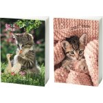 Agenda scolaire 2025 - 2026 - chaton 2d - 1jour / 1page - 12x17 cm editions oberthur - l'agenda coloris ...