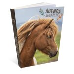 Agenda scolaire 2025 - 2026 - cheval - 1 jour / page - 12 x 17 cm bouchut - l'agenda