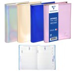 Agenda scolaire metaliss� - 1 jour / page - 2025 - 2026 clairefontaine - l'agenda en mod�le al�atoire ...