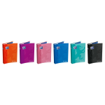 Agenda scolaire school - 1 jour / page - 2025 - 2026 oxford - l'agenda en coloris alatoire