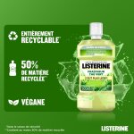 Bain de bouche fraîcheur thé vert goût plus léger listerine - le flacon de 500ml Bain de bouche fraîcheur thé vert goût plus léger listerine - le flacon de 500ml